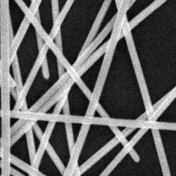 Nano gümüş tel Çapı / uzunluğu:120nm / 20um